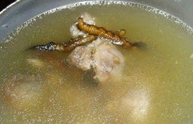 虫草炖野鸭的做法