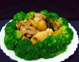 ����鳲������