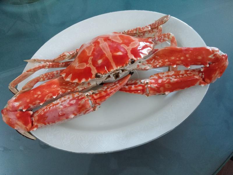 ��ʽ��з������