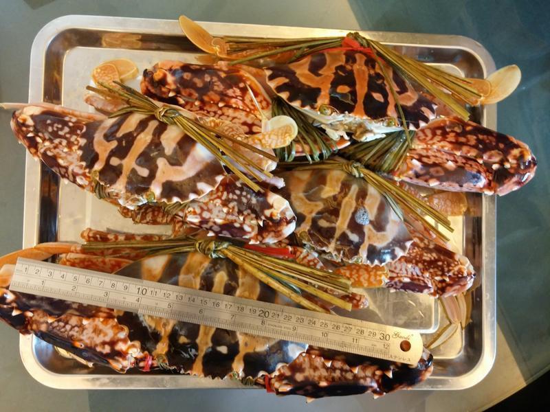 ��ʽ��з������