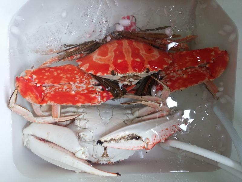 ��ʽ��з������