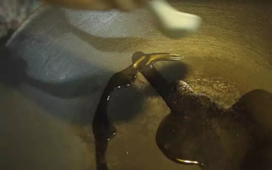 ��魲˳����ǵ�����