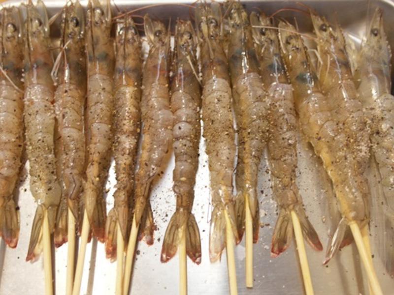 â����Ϻ~~Ϻâһ����θ��!!������