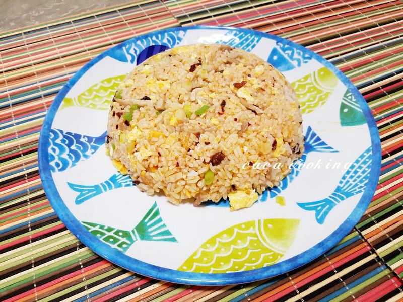 ������˿������������