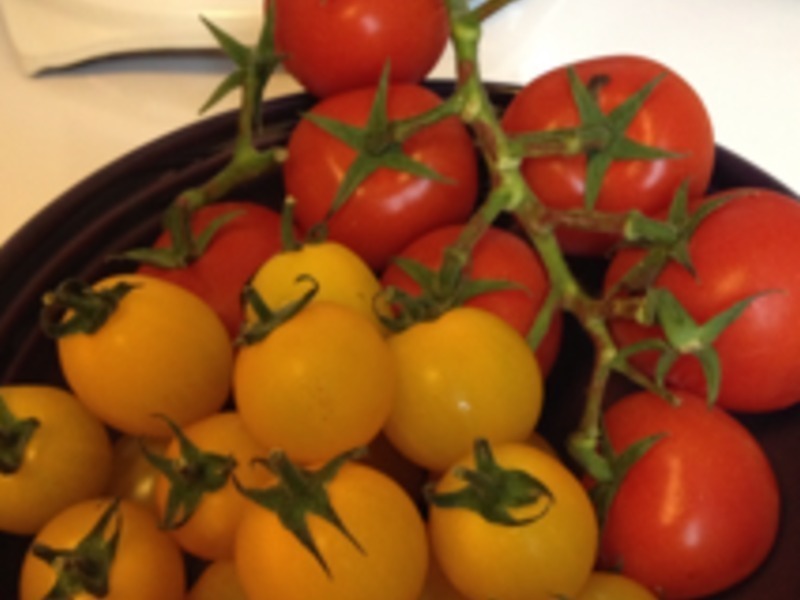 ���裺������Сެ�ѵ�����