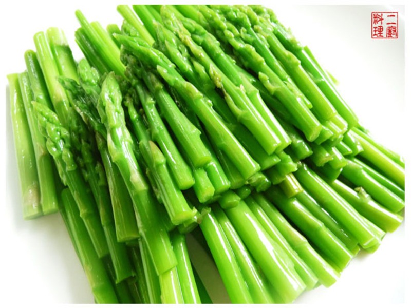 �������������衷ɳ��«�������