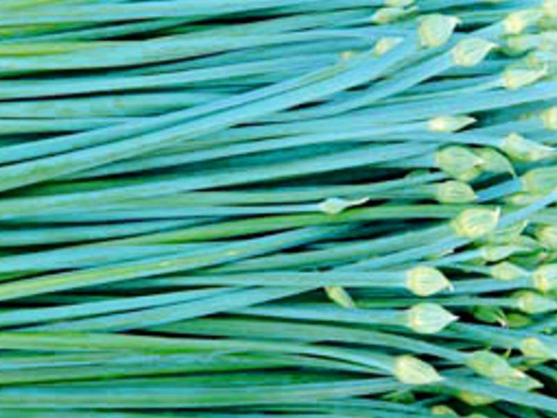 �²˻���Ƥ����ĩ������