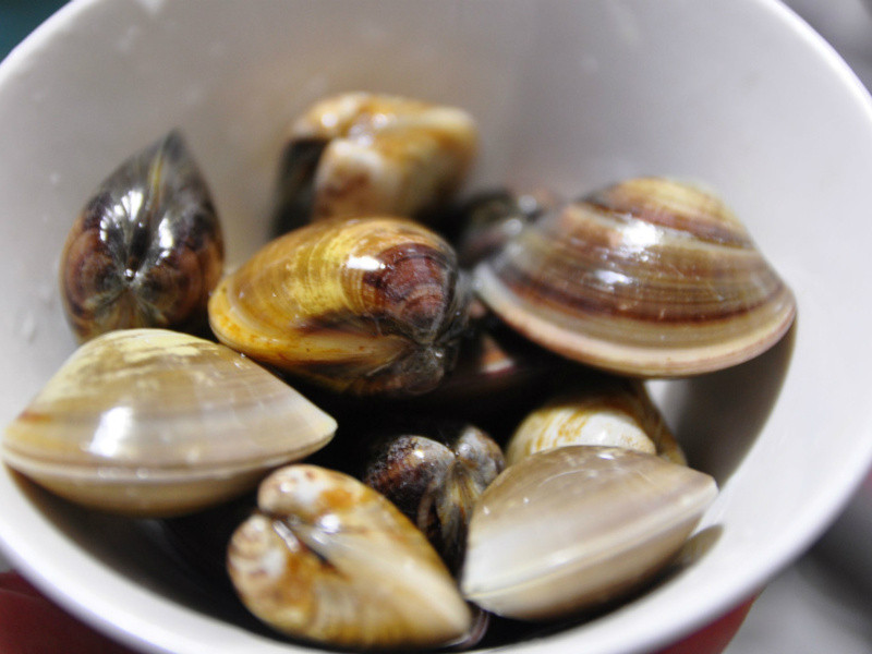 ��˿�������˿����������