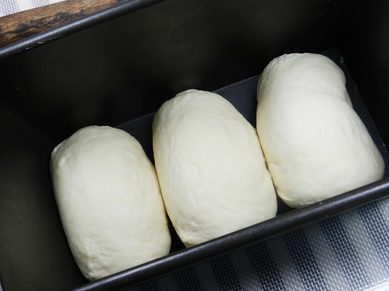 ���������ͱ㵱~�����ɳ����˾������