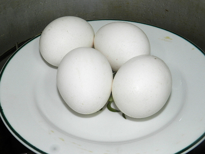 ���������ͱ㵱~�����ɳ����˾������