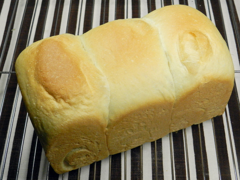 ���������ͱ㵱~�����ɳ����˾������