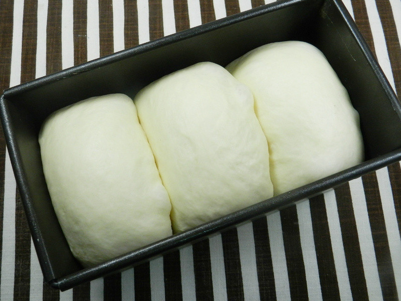 ���������ͱ㵱~�����ɳ����˾������