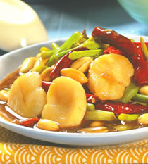 �������ӵ�����