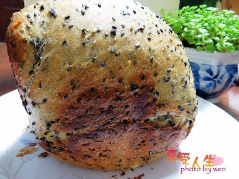 ��֥��׷���˾-Panasonic�������������