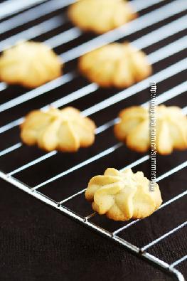 ԭζ�������������