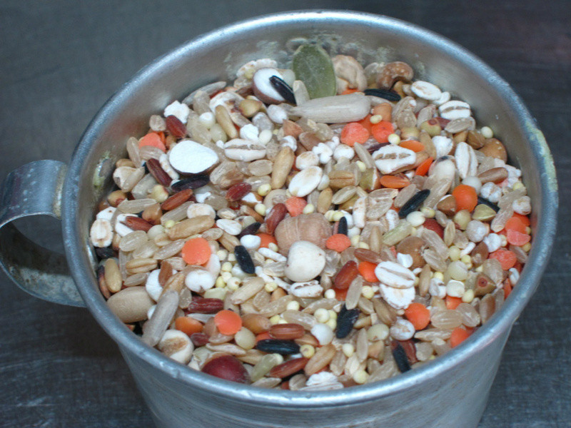 �����ײ������ڸ�ʳ�ס�������