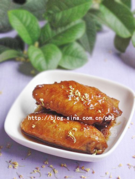 ��Ʈ�㼦�������