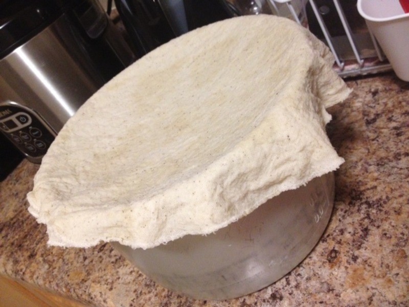 ���Գ�����~������ߦ�������