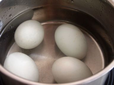 �Ϻ���ʳ�� �C ����Ѭ��������