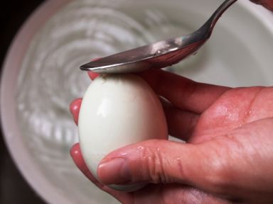 �Ϻ���ʳ�� �C ����Ѭ��������