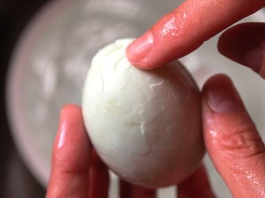 �Ϻ���ʳ�� �C ����Ѭ��������