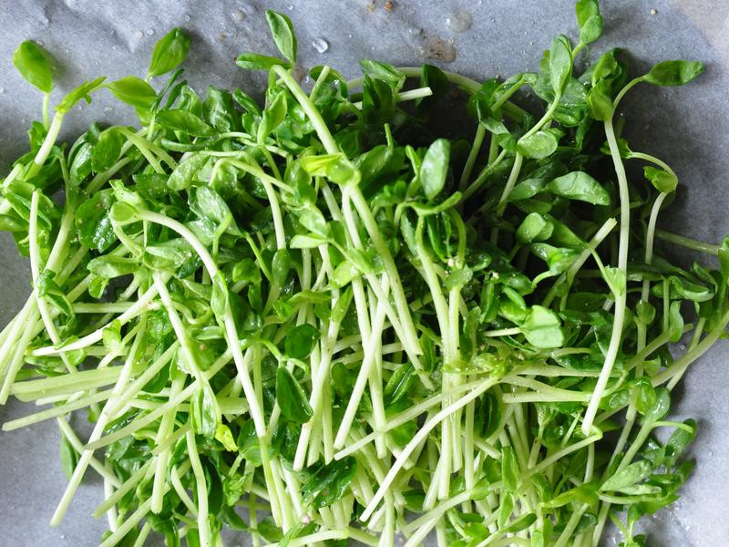 ��������ֽ���������