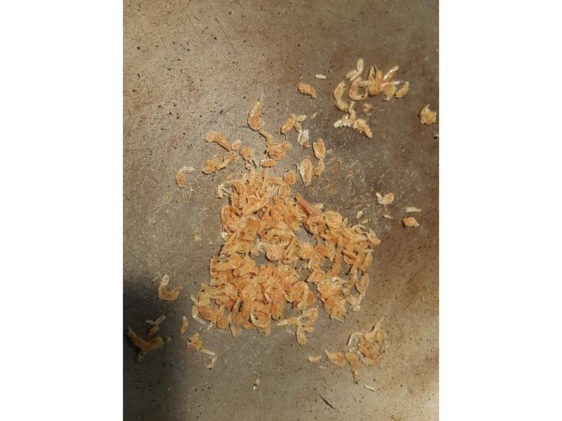 ˮ����Ӱ�������