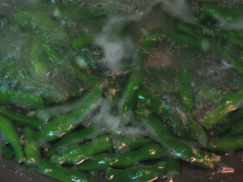 ���������ļ���-������