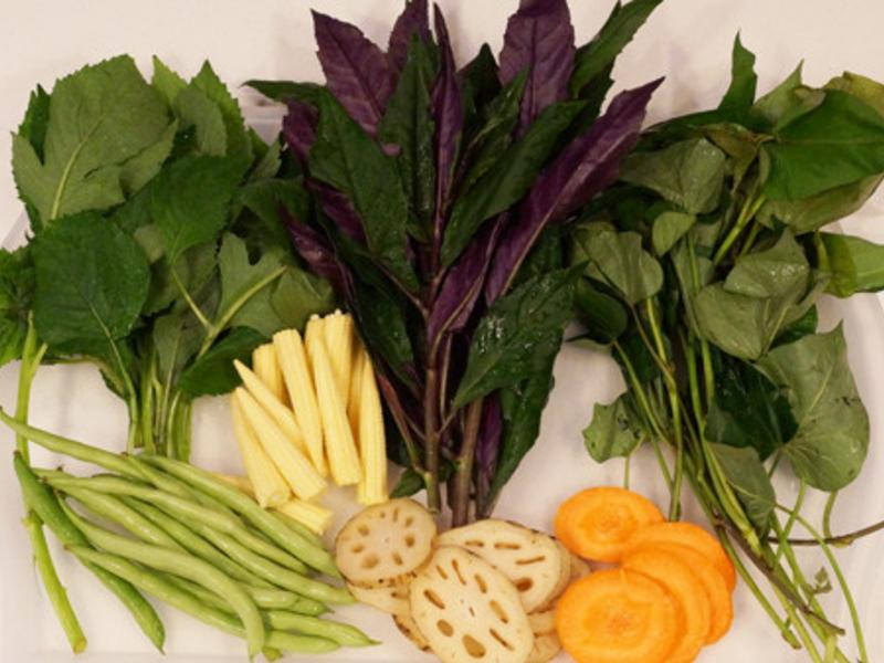 ըҰ���츾�޵�����