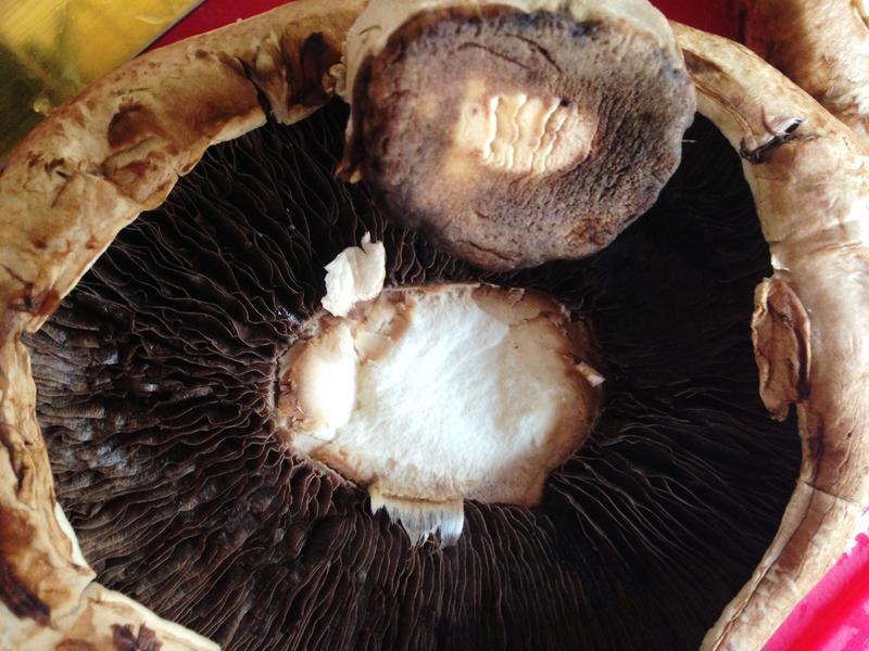 ���������ӱ���������