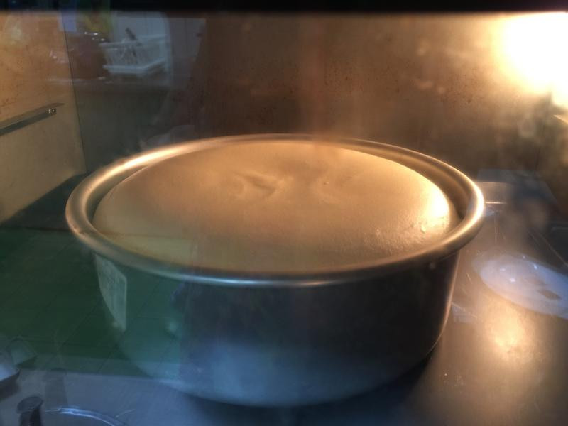 ����ݷ絰�������