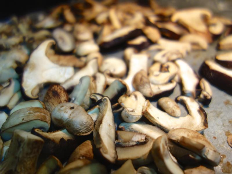 Ӱ��ʾ�� ��ʽ���� �����ུ�Ȱ�Ұ��������