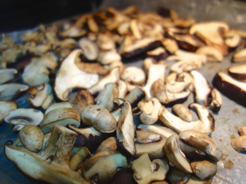 Ӱ��ʾ�� ��ʽ���� �����ུ�Ȱ�Ұ��������