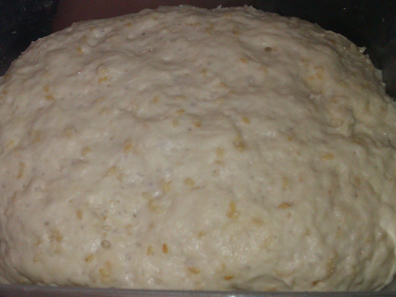 ��ڻ��������������