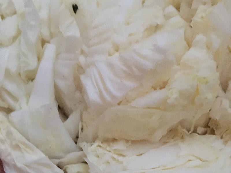 ��ײ˳���˿���������