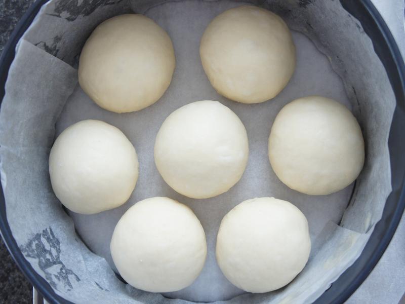 ����ţ�����������