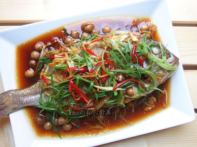 �������Ʋ��������㡿������