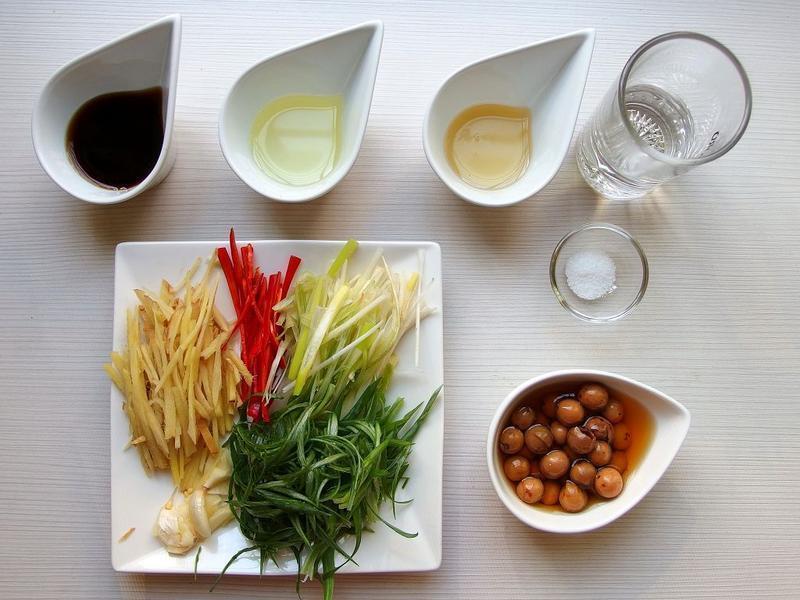 �������Ʋ��������㡿������