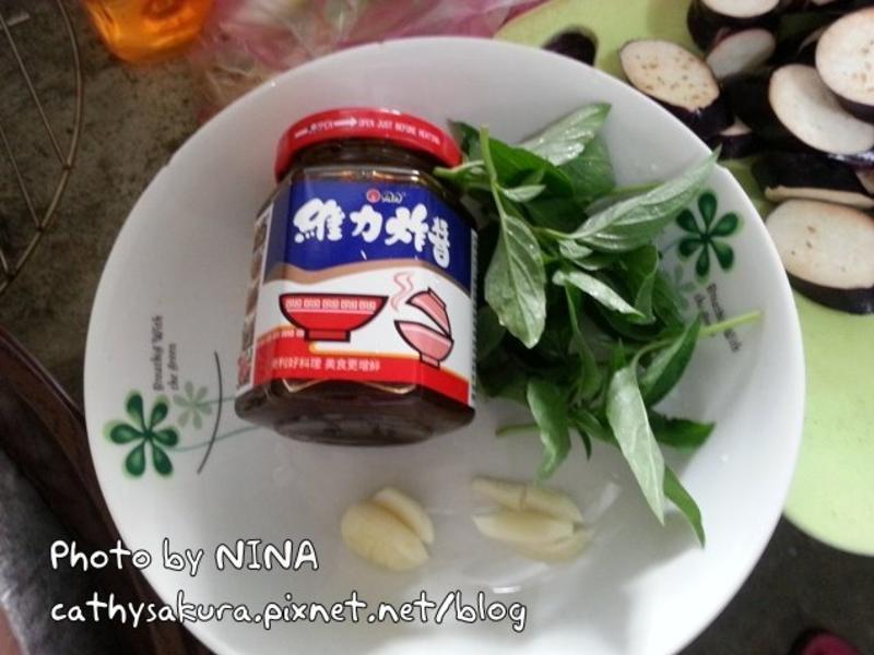 ��NINA���������ӡ�ά��ը����������