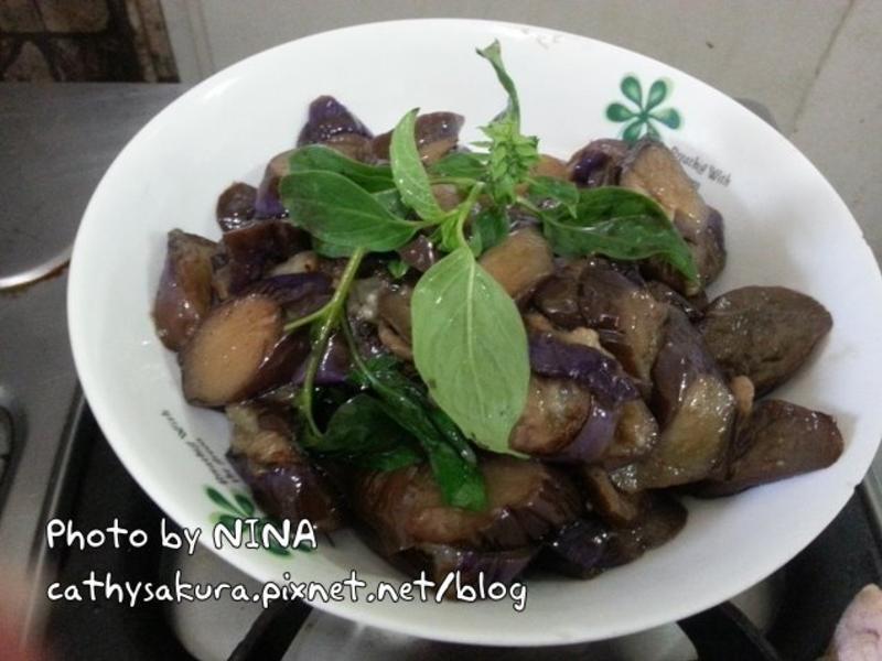 ��NINA���������ӡ�ά��ը����������