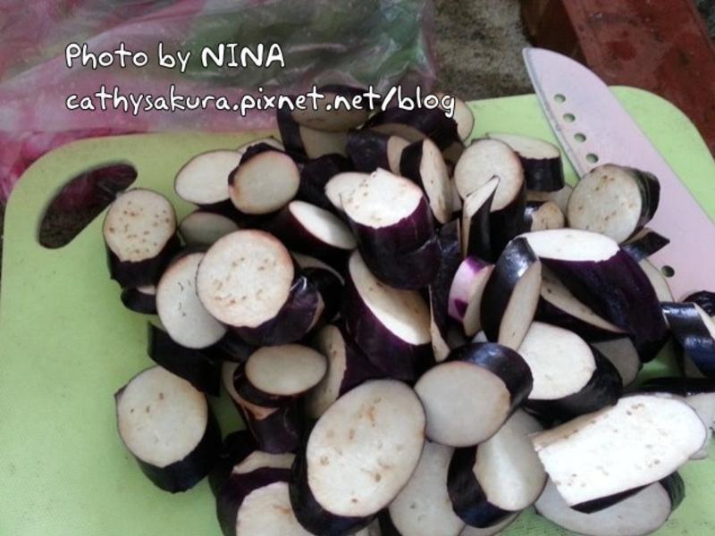 ��NINA���������ӡ�ά��ը����������