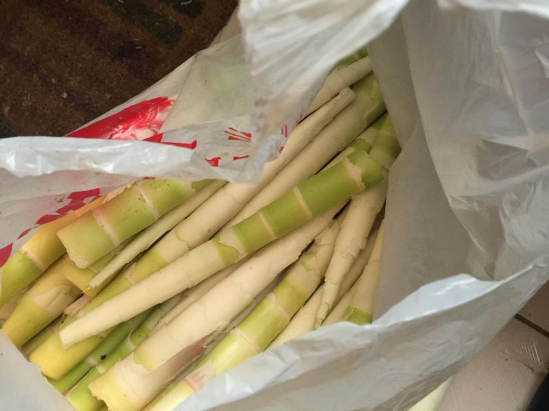 �ͼҸ��˹�����������