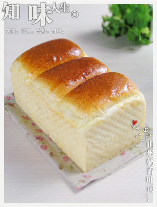 ɽ��������˾������