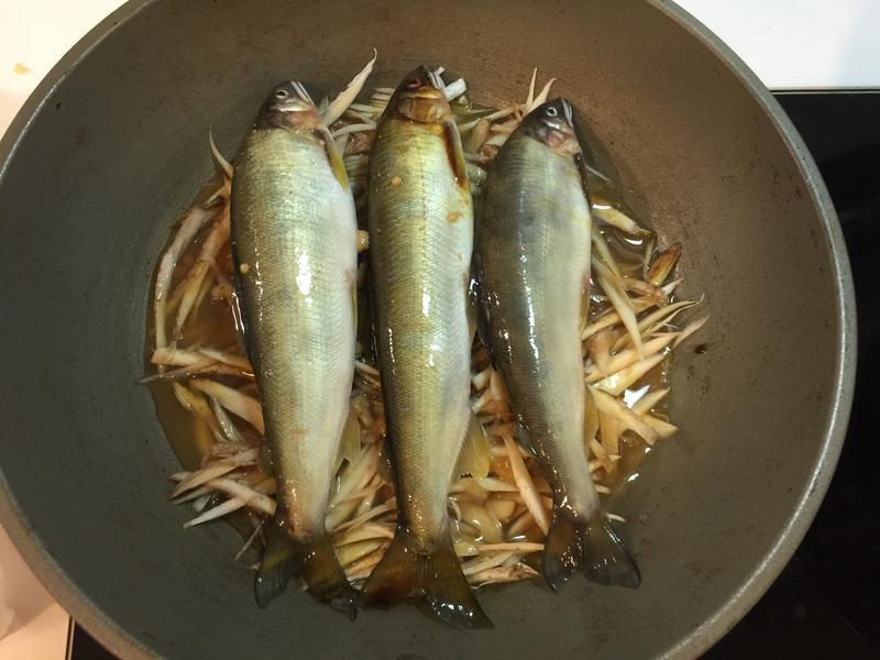 ζ��ţ�������������