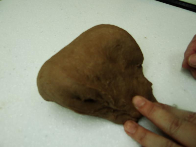 �ɿɱ���������