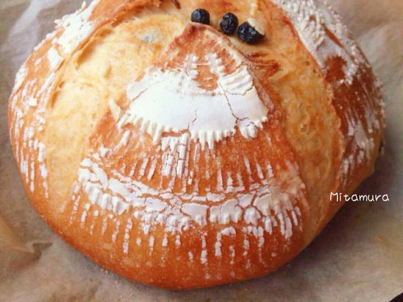 ��ݮ��������������Ȼ��ĸ��������