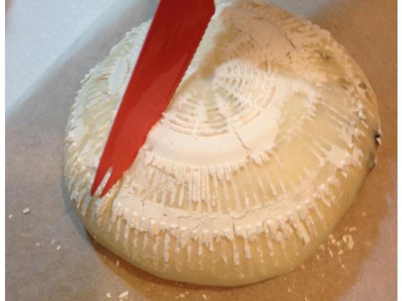 ��ݮ��������������Ȼ��ĸ��������