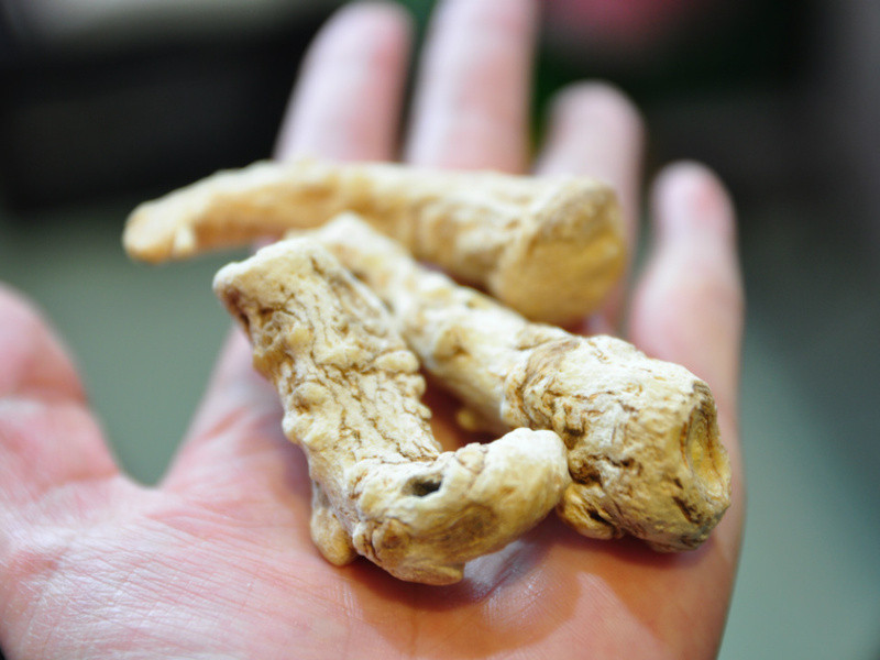 �ײκ���������������