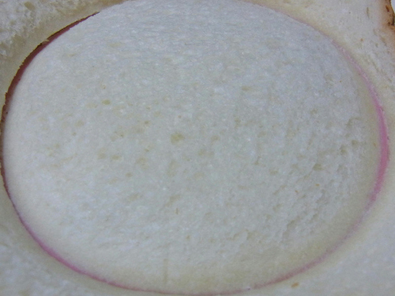 ������˾ѹģ�������ڴ������ε�����