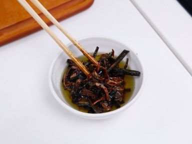 ˫�ش��ͽ�������